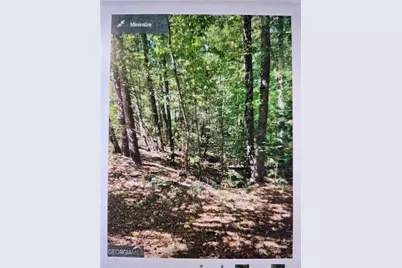 1480 Pine Lark Drive, Canton, GA 30114 - Photo 3