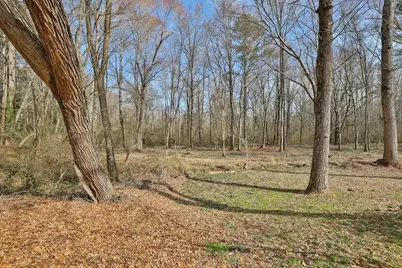 3351 Mallard Cove SW, Smyrna, GA 30082 - Photo 5