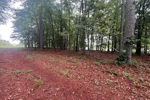 2200 Upper Burris Rd, Canton, GA 30114 - Photo 59