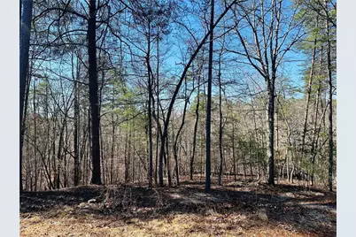 Lot 20 Crown Mountain Way, Dahlonega, GA 30533 - Photo 1