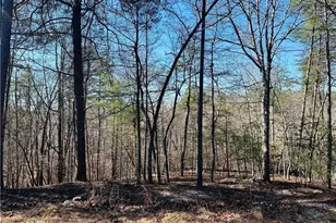 Lot 20 Crown Mountain Way, Dahlonega, GA 30533 - Photo 1