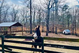 1020 Old Lathemtown Rd, Canton, GA 30115 - Photo 59