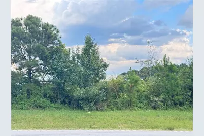 0 Loganville Hwy, Bethlehem, GA 30620 - Photo 7