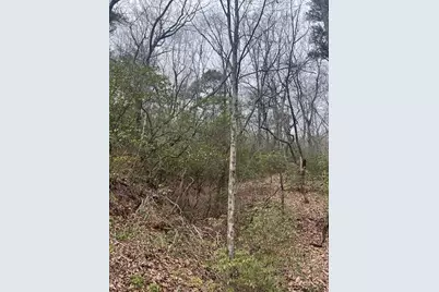 615 Woodland Trce, Jasper, GA 30143 - Photo 7