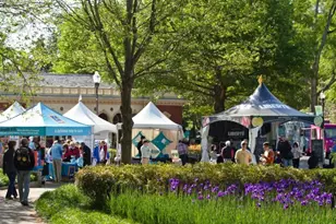 816 Piedmont Ave NE, Atlanta, GA 30308 - Photo 15