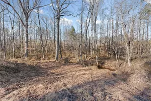 202 Sam House Rd, Bremen, GA 30110 - Photo 35