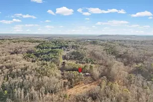 202 Sam House Rd, Bremen, GA 30110 - Photo 45