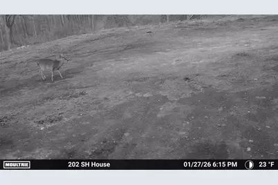 202 Sam House Road, Bremen, GA 30110 - Photo 49