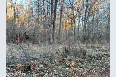 0 River Road, Monticello, GA 31064 - Photo 3