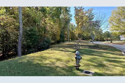 5993 Overby Road, Flowery Branch, GA 30542 - Photo 85