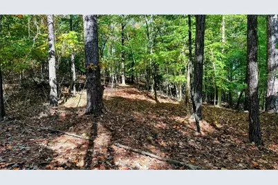 5993 Overby Road, Flowery Branch, GA 30542 - Photo 101