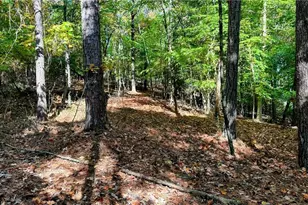 5993 Overby Rd, Flowery Branch, GA 30542 - Photo 101