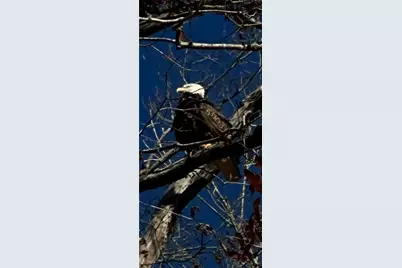 5993 Overby Road, Flowery Branch, GA 30542 - Photo 117