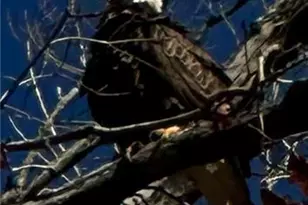 5993 Overby Rd, Flowery Branch, GA 30542 - Photo 117