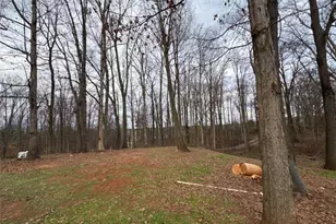 3911 Blackstock Rd, Talmo, GA 30575 - Photo 17