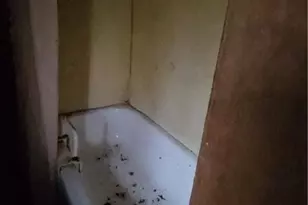 177 Fairground Rd, Lexington, GA 30648 - Photo 29