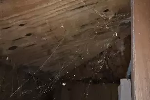 177 Fairground Rd, Lexington, GA 30648 - Photo 27