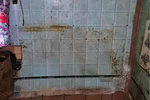 177 Fairground Rd, Lexington, GA 30648 - Photo 41