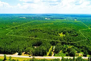 4444 Rea Lagrange Hwy, Greenville, GA 30222 - Photo 1