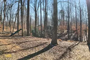 1468 Trinity Church Rd, Canton, GA 30115 - Photo 39