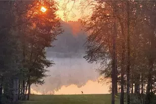 142 Holland Dam Dr, Maysville, GA 30558 - Photo 49