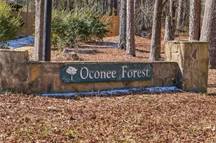 1011 Sharon Pl, Watkinsville, GA 30677 - Photo 47