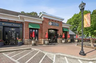 208 Still Pine Bend, Smyrna, GA 30082 - Photo 51