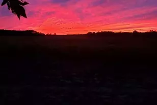 225 Cole Forest Blvd, Barnesville, GA 30204 - Photo 43