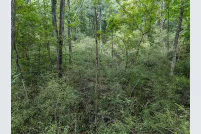 103 E Freeman Street, Newnan, GA 30263 - Photo 9