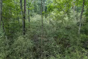 103 E Freeman St, Newnan, GA 30263 - Photo 9