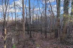 175 Gellmore Ln, Acworth, GA 30101 - Photo 61