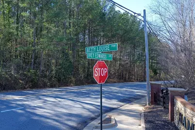 544 Overo Drive, McDonough, GA 30253 - Photo 37
