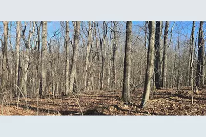 00001 Big Oak Drive, Jasper, GA 30143 - Photo 9