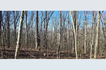 00001 Big Oak Drive, Jasper, GA 30143 - Photo 3