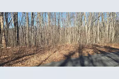 00001 Big Oak Drive, Jasper, GA 30143 - Photo 11