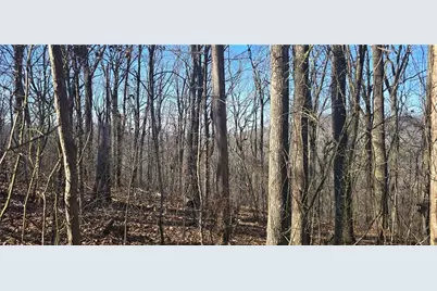 00001 Big Oak Drive, Jasper, GA 30143 - Photo 5