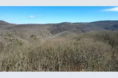 00001 Big Oak Drive, Jasper, GA 30143 - Photo 15