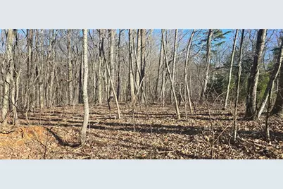 00001 Big Oak Drive, Jasper, GA 30143 - Photo 7