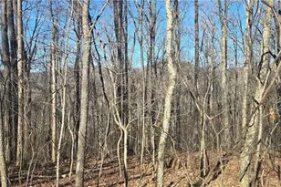 00001 Big Oak Dr, Jasper, GA 30143 - Photo 1