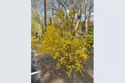 1800 Clairmont Lake #A111, Decatur, GA 30033 - Photo 47