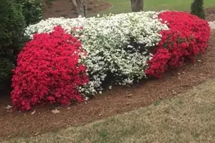 431 Providence Club Dr, Monroe, GA 30656 - Photo 29