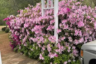 431 Providence Club Dr, Monroe, GA 30656 - Photo 27