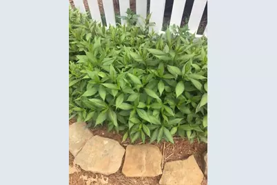 431 Providence Club Drive, Monroe, GA 30656 - Photo 31