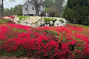 431 Providence Club Dr, Monroe, GA 30656 - Photo 25