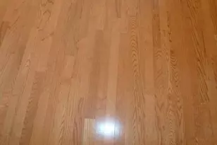 3209 Buck Way, Milton, GA 30004 - Photo 11