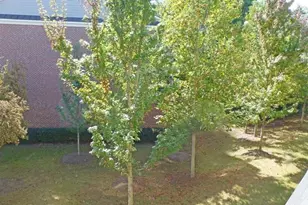 3209 Buck Way, Milton, GA 30004 - Photo 25