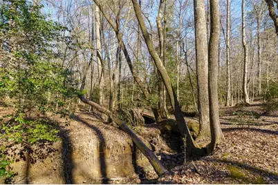 161 Finncannon Drive, Ellijay, GA 30536 - Photo 13