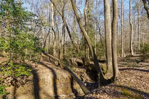 161 Finncannon Dr, Ellijay, GA 30536 - Photo 13