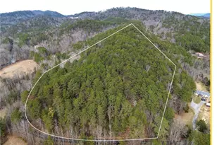 00 Manning Mill Rd, Summerville, GA 30747 - Photo 1