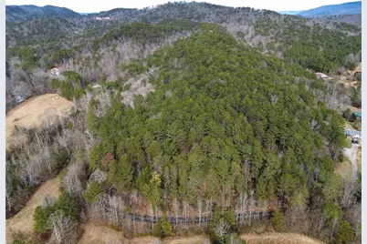 00 Manning Mill Road, Summerville, GA 30747 - Photo 9